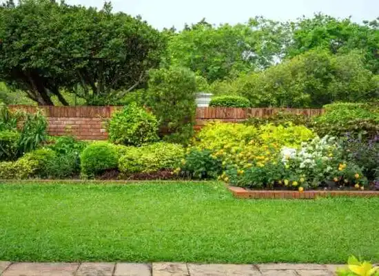 landscaping services Morrisville